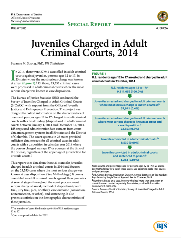 New resource thumbnail for Juveniles Charged in Adult Criminal Courts, 2014